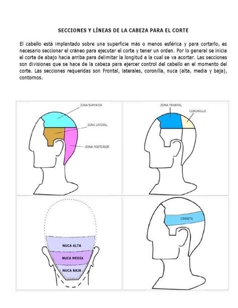 Manual De Cortes De Cabello Pdf Peinados Para Señoritas