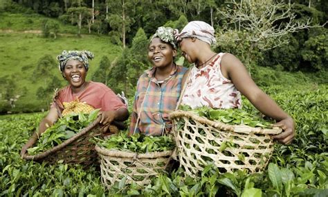 Women Farmers Making It Happen Iwd2015 Food Tank