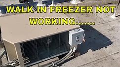 SIMPLE WALK IN FREEZER CALL THAT LED TO SO MUCH MORE