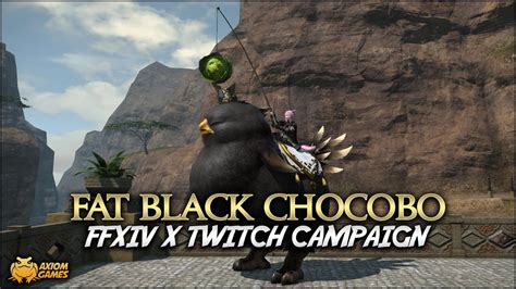 Ffxiv Fat Black Chocobo Mount Youtube