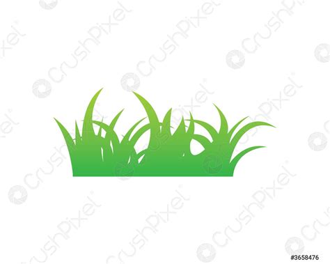 Grass Vector Illustration Template Stock Vector 3658476 Crushpixel