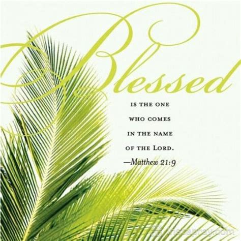 Verses To Celebrate Palm Sunday Prayers And Promises