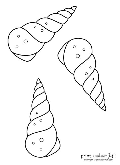 Shells are customary on the beach and today we have a sea shell coloring printable just for you to today is the last day in our free colouring printables and i hope you have enjoyed what you have downloaded. Spiral sea shells coloring page - Print. Color. Fun!