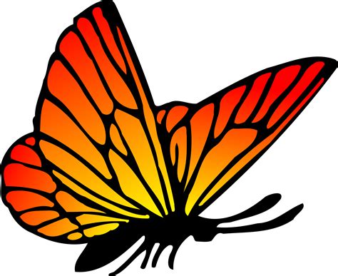 Red Orange Butterfly vector clipart image - Free stock photo - Public ...