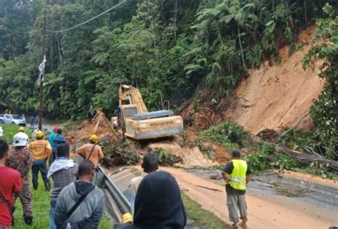 Kata dilip, pembangunan di hutan mossy yang sebahagian projek komersial itu dilaksanakan. Tanah runtuh akibat hujan lebat, paip pecah di Cameron ...