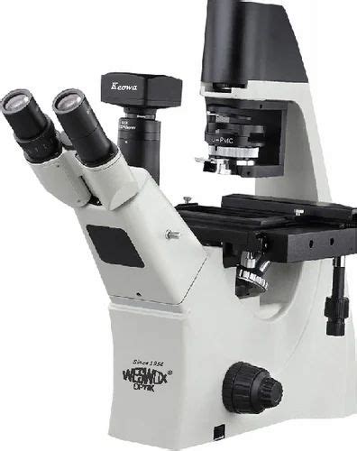 Weswox Inverted Tissue Culture Microscope Model Wtc 10500 400x At Rs