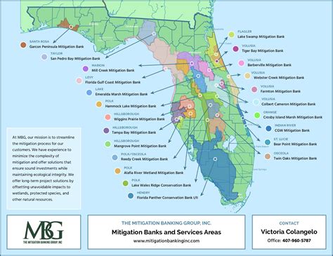Florida Drainage Basins Watershed Map The Mitigation Banking Group