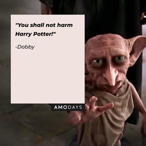 38 Dobby Quotes To Remind Us Of Our Forever Treasured Free Elf From
