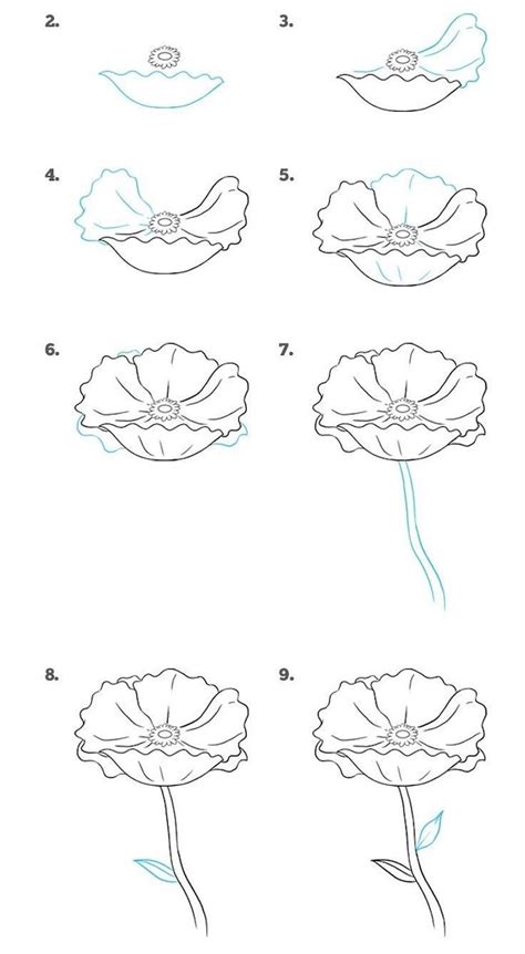 Draw fewer and bigger flower petals as you move further from the bloom focus. Easy flowers to draw - step-by-step tutorials + pictures ...