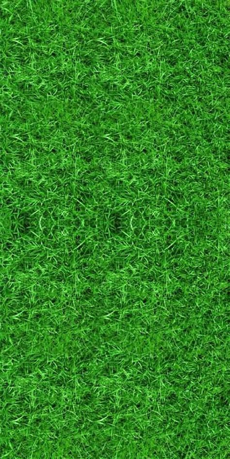 Green Grass Backdrop Computer Printed Photography Background Etsy