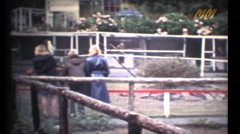 Bideford Zoo 1969ish Old Cine Film Youtube