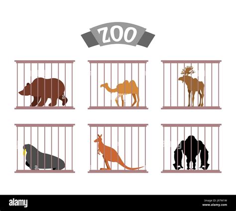 Zoo Collection Of Wild Animals In Cages Beasts Behind Bars Bear And