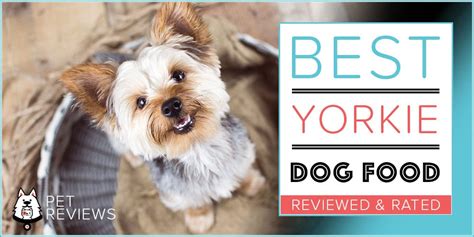 Most pet food ingredients are powdered from china. 10 Best Dog Food for Yorkies (Teacup & Puppy) - 2020 Brands