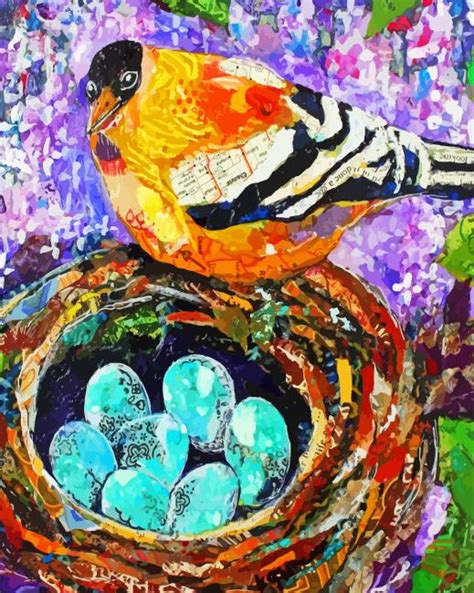 Bird Collage Art Paint By Numbers Pbn Canvas