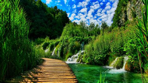 Wooden Dock Between Waterfall Lake And Green Grass Under Cloudy Blue