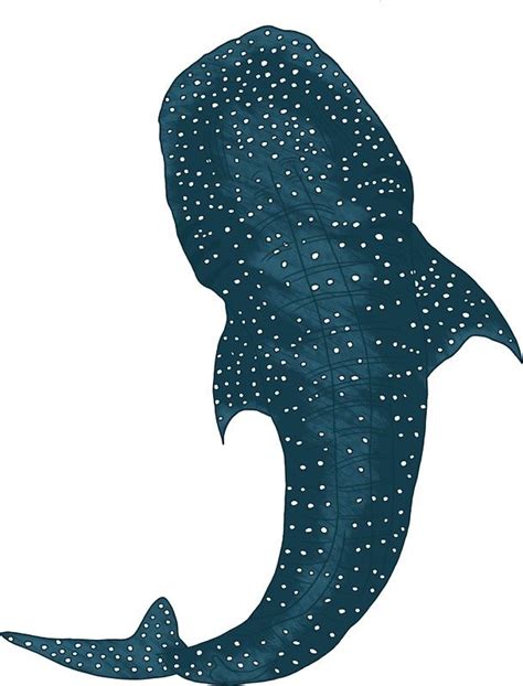 Whale Shark Sticker By Fernandaschalle Shark Art Shark Painting