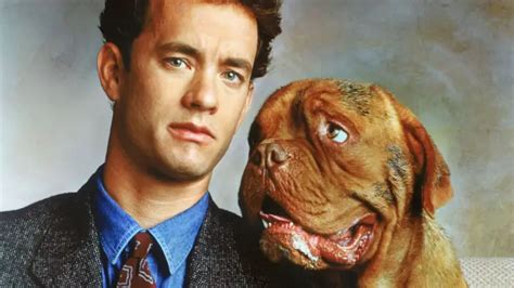 Famous Dogs In Movies Our Top Canine Cinema Stars I Love My Dog So Much