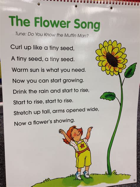 A list of songs about plants, trees, fruit and/or vegetables. The Flower Song | Preschool songs, Spring preschool, Classroom songs
