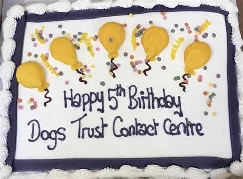 17 Interesting Initiatives From The Dogs Trust Contact Centre