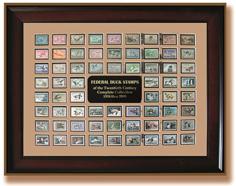 Federal Duck Stamp Display Frames