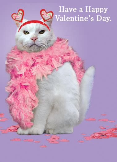 Funny Valentines Day Card Valentine Cat From