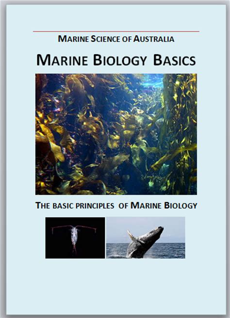 Marine Biology Basics Marine Science Australia