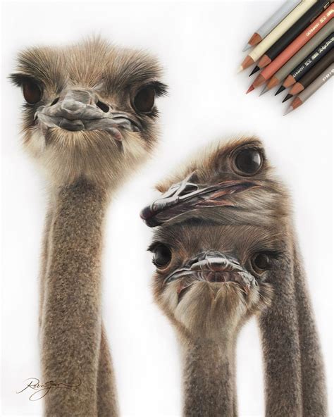 Incredible Photo Realistic Pencil Drawings By Robin Gan
