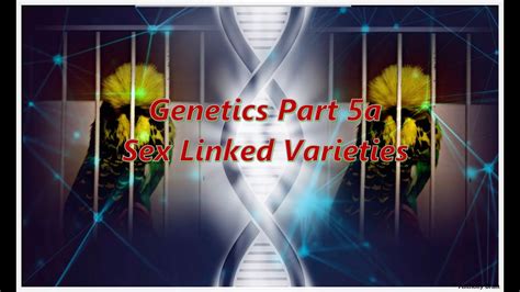 genetics part 5a sex linked varieties youtube