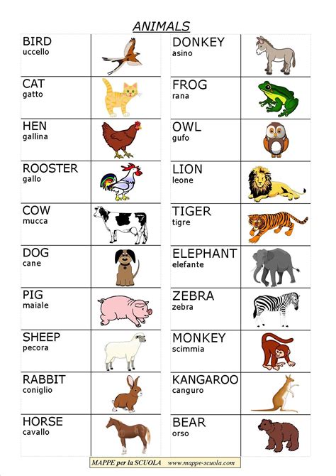 Mappe Per La Scuola Animals Animali Attività Con Animali Pagine