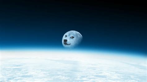 48 Doge Space Wallpaper Wallpapersafari