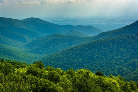 The 20 Best Things To Do In Blue Ridge Ga For First Timers