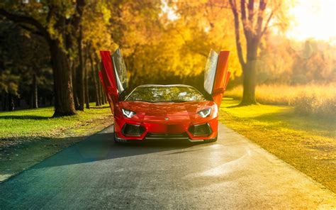 Wallpaper Id 112060 Car Lamborghini Red Cars Vehicle Trees Road