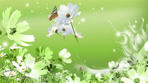 Free Download Green Flowers Wallpaper All Wallpapers New 1920x1080