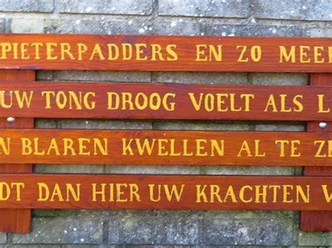 The trail runs 498 kilometres (309 mi) from pieterburen, in the northern part of groningen, south through the eastern part of the netherlands to end just south of maastricht, on the top of mount saint peter (st pietersberg). Pieterpad is niet zomaar wat! - Ter Steege in Beweging