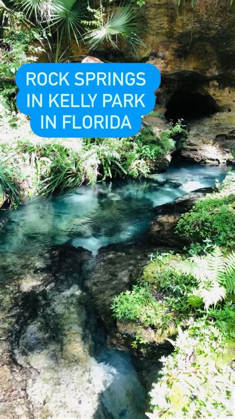 hidden gem in florida rock springs “natural lazy river” north america travel florida travel