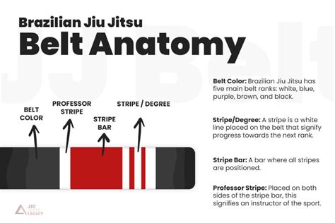 Guide To Bjj Belts Ranking System 8 Belts Explained 2022