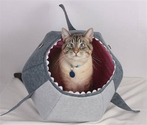 Cat Shark Bed Cat Bed Celebrating Shark Week Gadget Flow