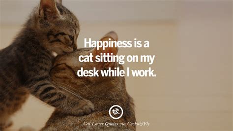 Reach out with this wake up call to wish all your loved ones. 25 Cute Cat Images With Quotes For Crazy Cat Ladies, Gentlemen And Lovers