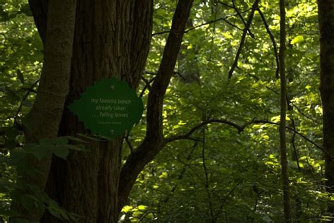 Photos New Haiku Trail Opens At Hueston Woods State Park