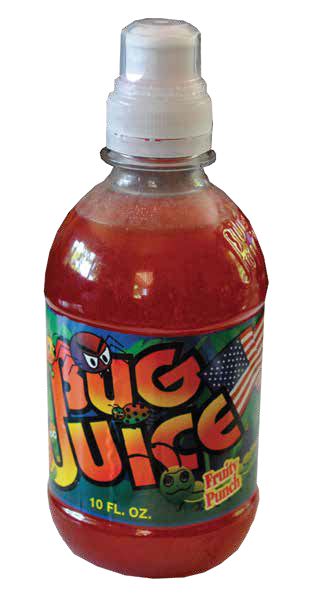 Bug Juice Where Are They Now