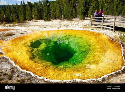 Morning Glory Pool In The Yellowstone National Park Wyoming Usa Stock