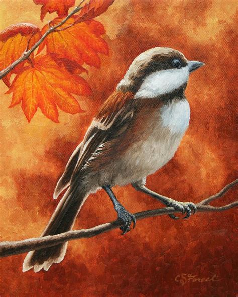 Autumn Chickadee By Crista Forest Autumn Art Chickadee Art Oil
