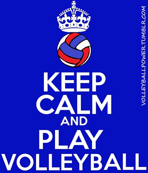 Pin By Hailey Beesley On Love Volleyball Humor Play Volleyball