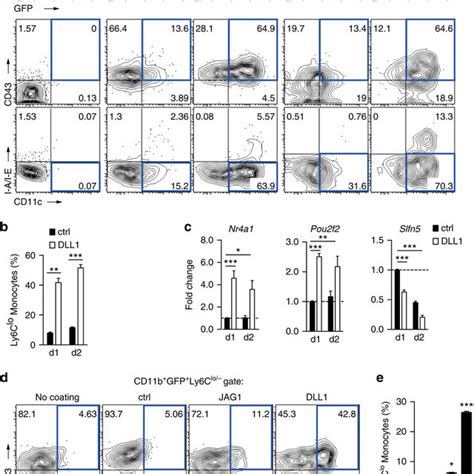 Notch2 Signalling Is Required For Monocyte Conversion In Vitro Ab