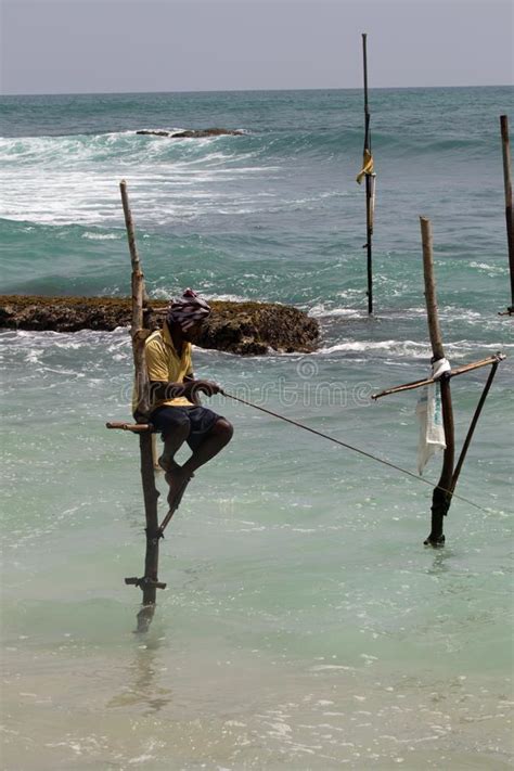 A Sri Lankan Pole Fisherman In The Sea Editorial Stock Photo Image Of