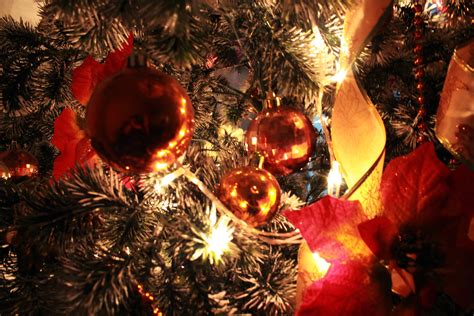 Christmas Decoration 01 Free Stock Photo Public Domain Pictures