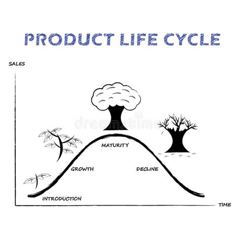 Product Life Cycle Curve Stock Illustrations 96 Product Life Cycle