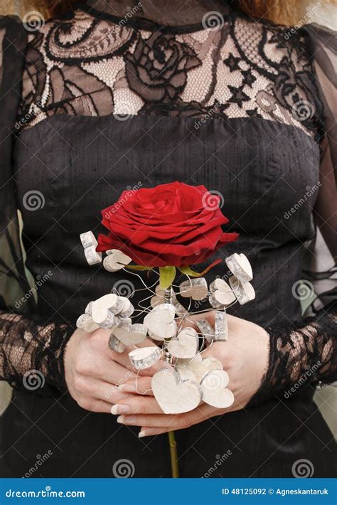 Woman Holding Red Rose Decorated With Wooden Hearts Stock Photo Image