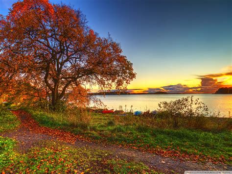 Autumn Scenery Wallpaper 57 Images