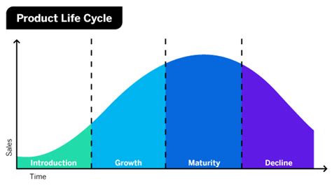 Product Lifecycle Explained Stages Examples And Product Life Cycle